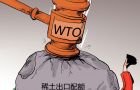 WTO争端倒逼中国稀土行业整合