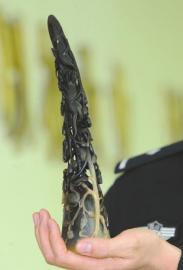 微信圈<em>隐秘</em>生意:<em>女演员</em>非法贩卖犀牛角日赚32