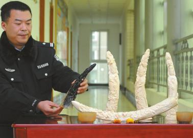 微信圈<em>隐秘</em>生意:<em>女演员</em>非法贩卖犀牛角日赚32