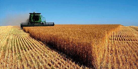 【特别报道】省长管粮能否管好天下粮仓_