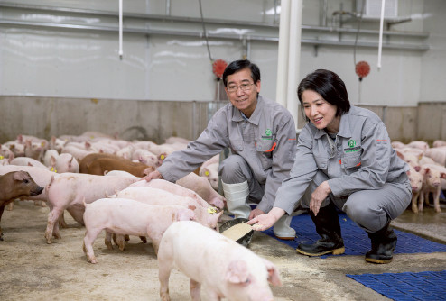 【产业·公司】家育集团:像麦当劳一样标准化