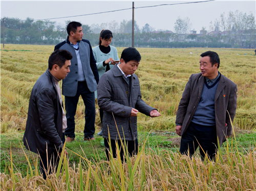 安徽省望江县深耕细作精准扶贫_区域_经济网