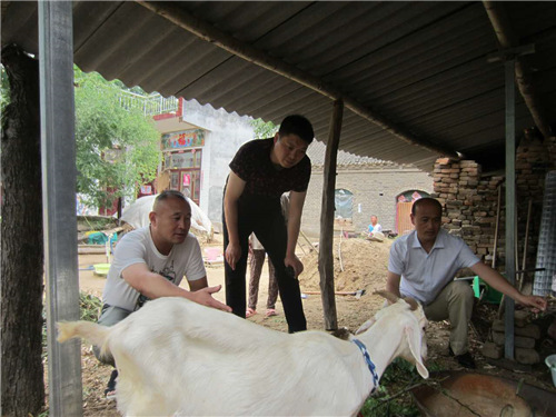 开封教育局驻杞县罗寨村工作队:吃住在村扶贫