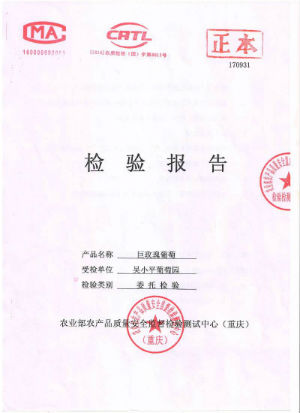 农业部认证:吴小平葡萄通过质量安全关_快讯_