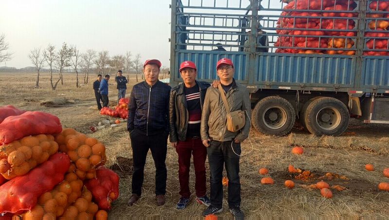内蒙古商都县利用农业大数据助力贫困农户脱贫