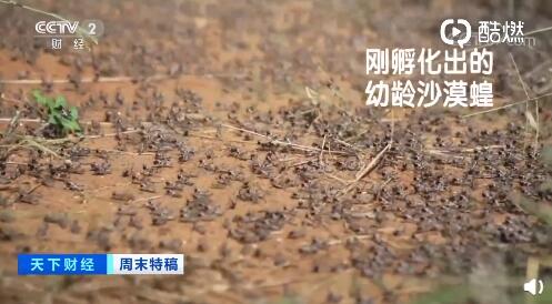 人口粮二分(3)