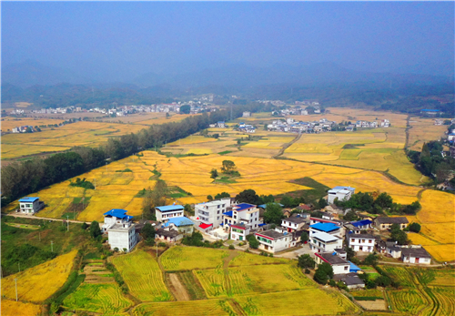 湖北省崇阳县绘就乡村新蓝图建设美丽新天府