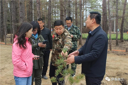 苗"嫁"到林场 演绎"红松故事"_黑龙江_区域_经济网_国家一类新闻网站