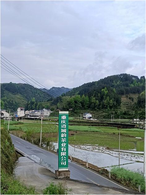 重庆市秀山县洪安镇振兴乡村经济有成效