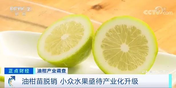 欧美果农的救星：留美博士研发苹果采摘机器人Zapper