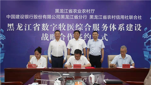 黑龙江省农业农村厅与建行黑龙江省分行黑龙江省农村信用社联合社合作