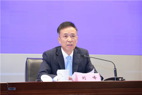 安徽省税务局党委委员,总经济师刘峰发布新闻