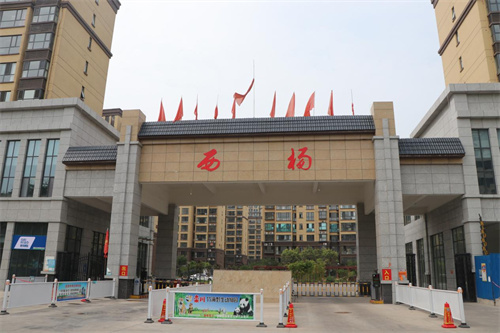 图片 1