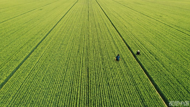 19億多畝耕地，如何保障14億中國人吃飽吃好？