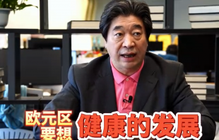 鈕文新：歐元和美元之間存在“死循環效應”