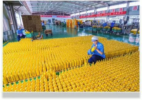 陕西城固：深化“双招双引”助推园区建设“开门红”