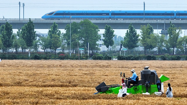 江苏扬州：“三夏”时节小麦收割忙