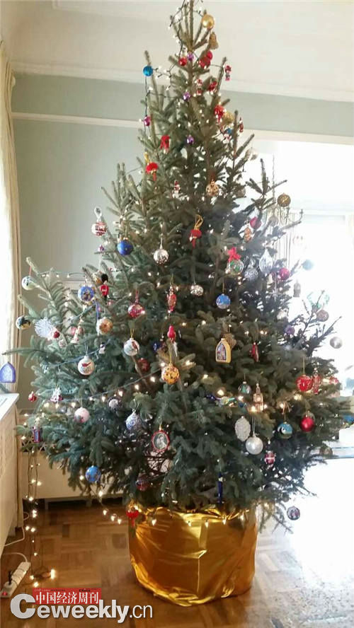 6会客厅的圣诞树