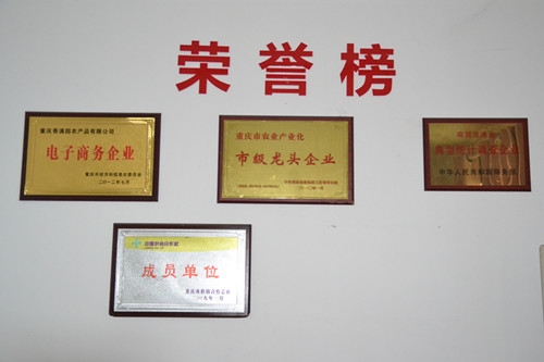 商贸行业的风向标——辉旺达商贸