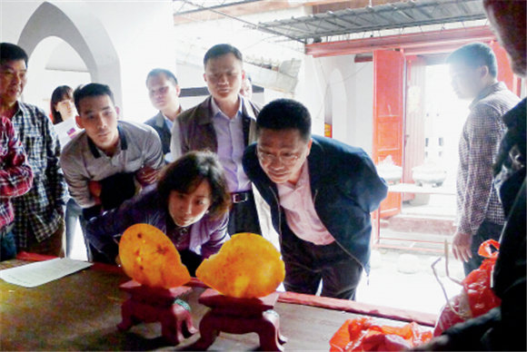 p59-4+惠州市文物保护领导专家来陈江街道调研文化古村落保护发展工作