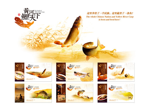 黄河鲤明信片图片