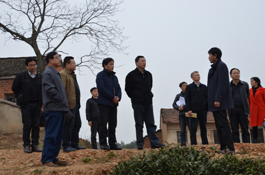 县委书记李跃云到太慈镇茶岭村调研扶贫工作
