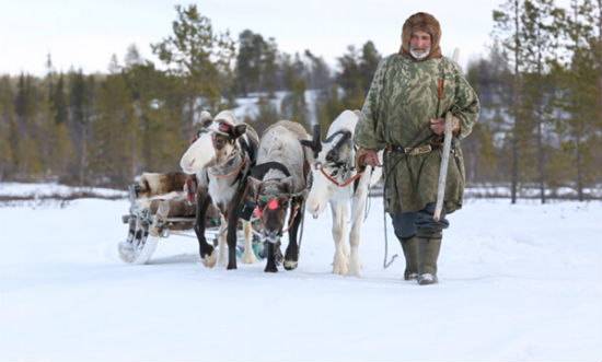 北极很远 北极很近 北极与所有人命运相连——写在纪录片《北极,北极!