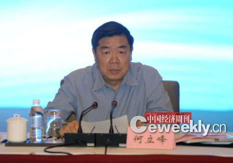 国家发展改革委党组副书记、副主任何立峰在工作会上发言   张晓峰摄