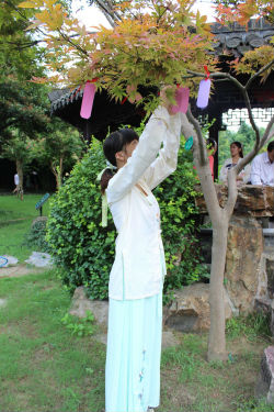 游客身穿汉服将自己的心愿挂在个园的树上