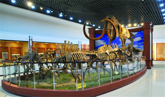 青冈县第四纪古生物化石博物馆