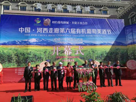 中国·河西走廊第六届有机葡萄美酒节在甘肃武威盛大开幕。