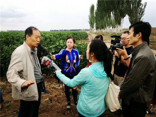 在莫高葡萄酒种植基地，甘肃莫高实业发展股份有限公司副总经理王润平接受媒体记者采访。，
