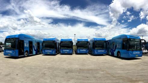 比亚迪交付悉尼机场的首批电动巴士阵容庞大