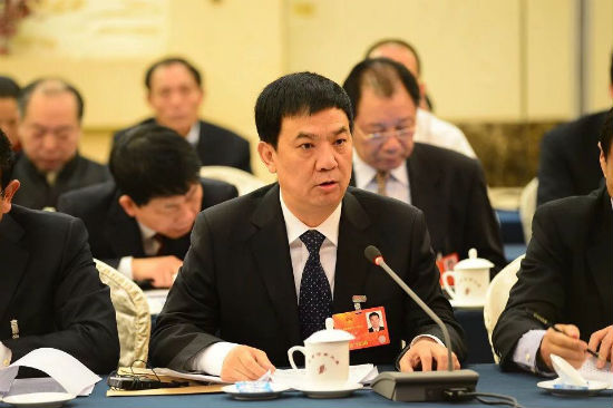 张龙安在河南代表团分组讨论中发言