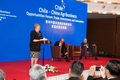 智利总统巴切莱特   图片来源：智利驻华大使馆