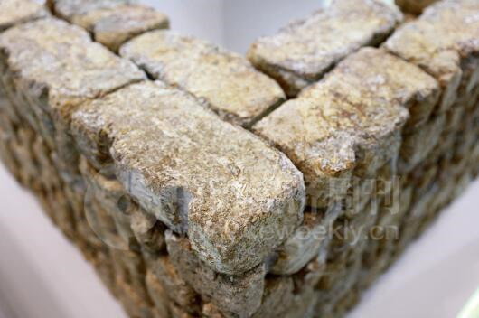 35-2 真菌砖块由木材、活体真菌制作而成，重量极轻，其在搭建时不需要使用黏合剂。
