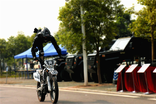摩托车特技驾驶(图片由涪陵区公安局提供）