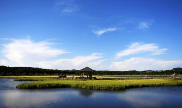 p40-▲塞罕坝位于河北省承德市围场满族蒙古族自治县境内，目前已成为著名的生态旅游景区，被誉为“河的源头、云的故乡、花的世界、林的海洋”。