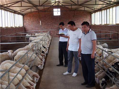 2 宜阳农商银行工作人员了解农户养殖场的经营情况