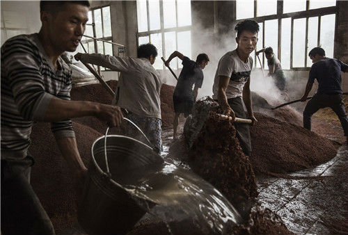 16 贵州省遵义仁怀市茅台镇，酿酒厂里工人们将烧开的河水准备好，用于高粱的第一次发酵。视觉中国