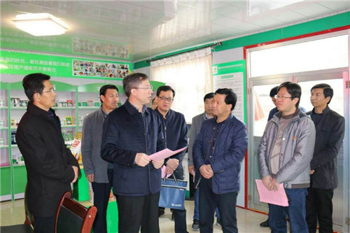 临洮县委书记石琳到联合社了解情况。供图 陈得军