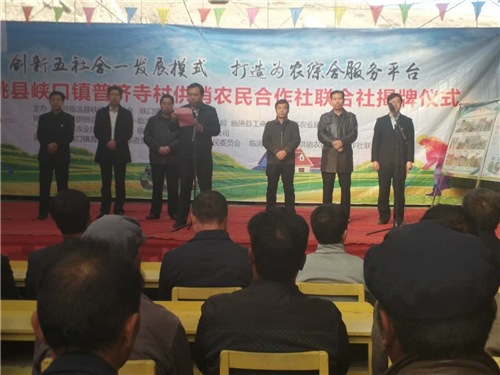 临洮县长许树德出席联合社成立仪式并致辞。供图 陈得军