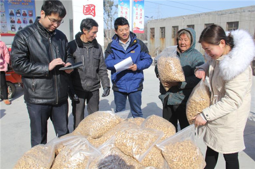 1 河南省煤田地质局驻平等上元村第一书记王立峰（中）在验收贫困户家的花生质量