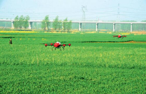 P21-在凤台县刘集镇山口村，专业植保服务队操作无人机进行小麦赤霉病防治。视觉中国