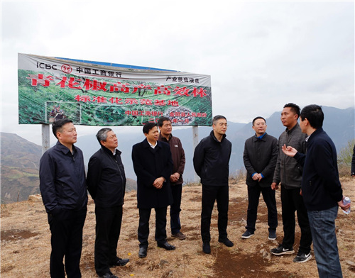 谷澍行长到凉山金阳县开展扶贫调研