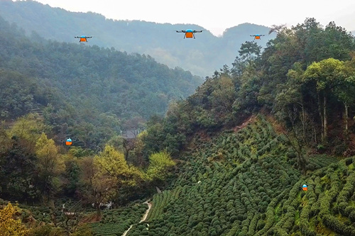 48 2018 年3 月25 日，西湖龙井景区狮峰山，无人机在深山中飞行，帮忙运送新鲜茶叶。以前为了保持茶叶鲜活，采茶工大多上山采摘三四个小时后就要将茶叶背下山。上下山单程至少要走两个多小时的山路。通过无人机运输，不到2 分钟即可送达，而且降低了茶叶的损坏率。