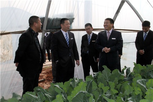 3 康凤利董事长（右二）在农业合作社调研