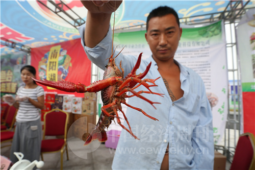 9 在举办开幕式的龙虾广场，设有展台摊位，展示和出售龙虾及各类鱼特色台农产品。