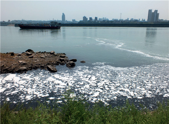 p65-2015 年，湖北宜昌长江岸边，发黑的化工污水泛着白沫蜿蜒数百米。视觉中国