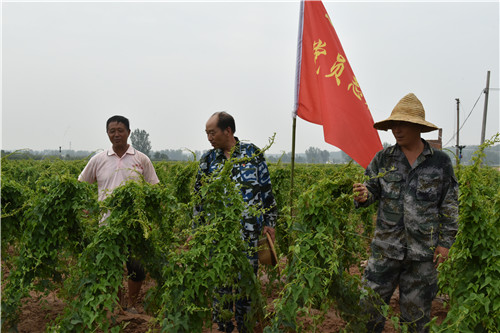3  铁谢村党支部把党员活动日搬到田间地头，向群众讲解山药种植技术
